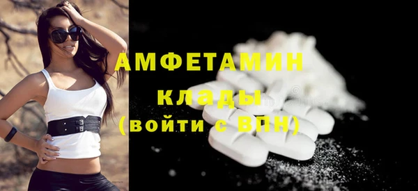 шишки Арсеньев