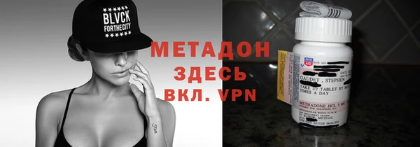 шишки Арсеньев