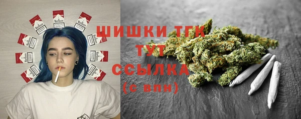 шишки Арсеньев