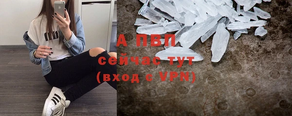 шишки Арсеньев