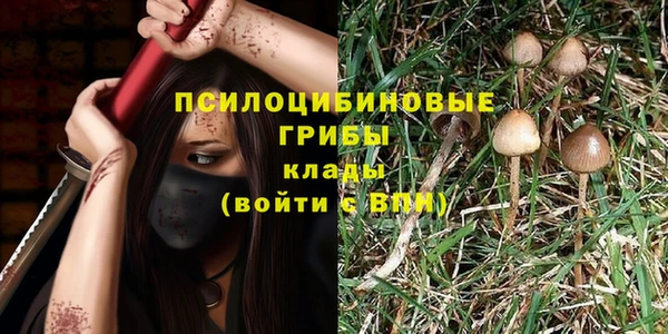 прущие крисы Армянск