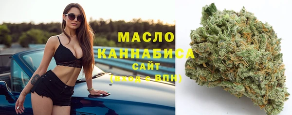 шишки Арсеньев
