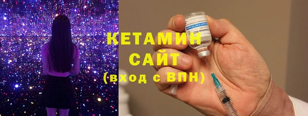 шишки Арсеньев
