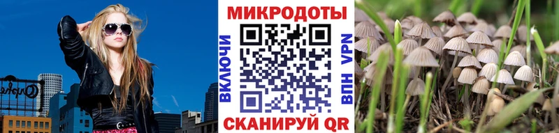 площадка состав  Котельниково  Галлюциногенные грибы ЛСД  наркота 